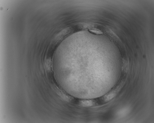 X0000062870189200601171431