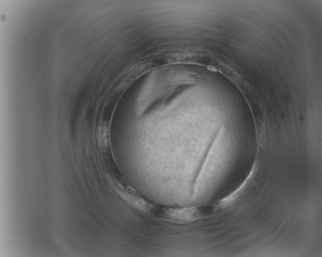 X0000062870191200601171431