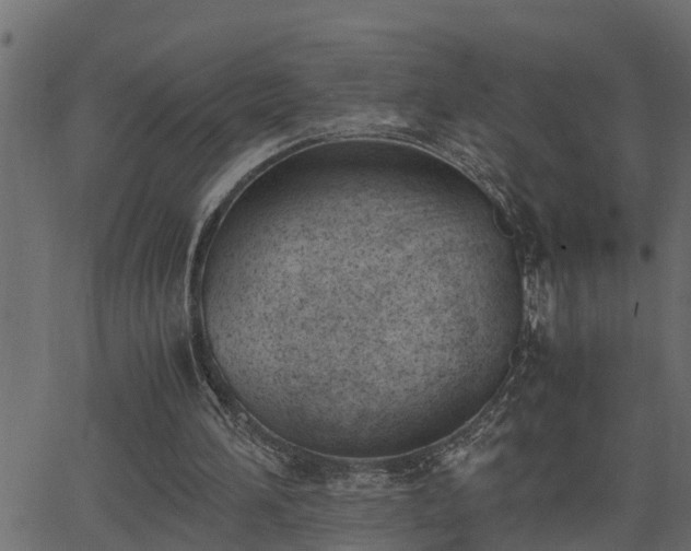 X0000062870196200601171430