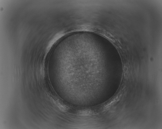 X0000062870200200601171430