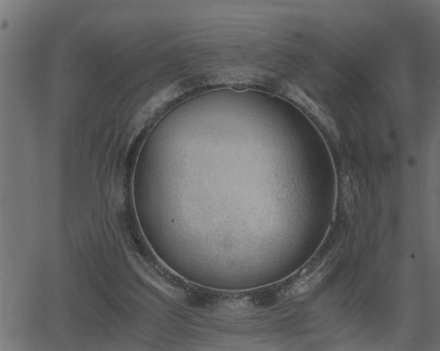 X0000062870203200601171430