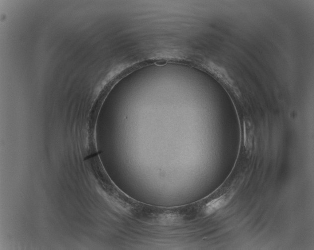 X0000062870204200601171430