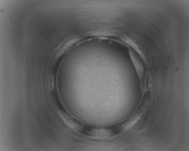 X0000062870205200601171430