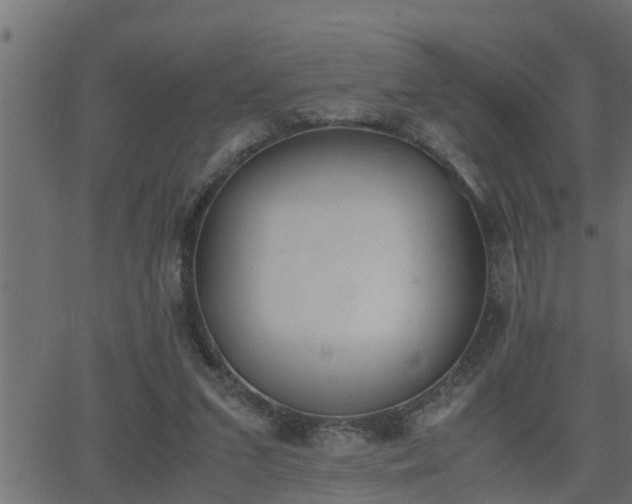 X0000062870207200601171430