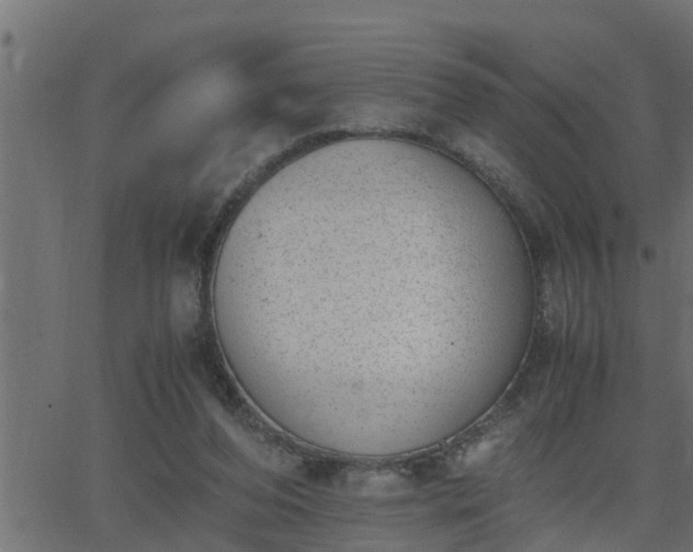 X0000062870208200601171430