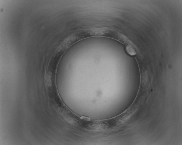 X0000062870209200601171430