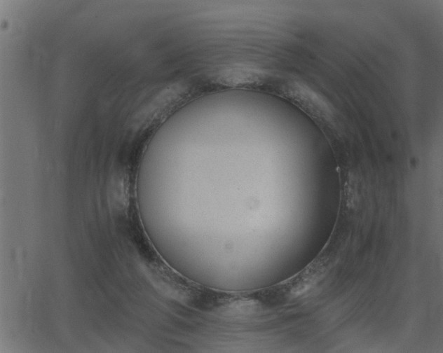 X0000062870210200601171430