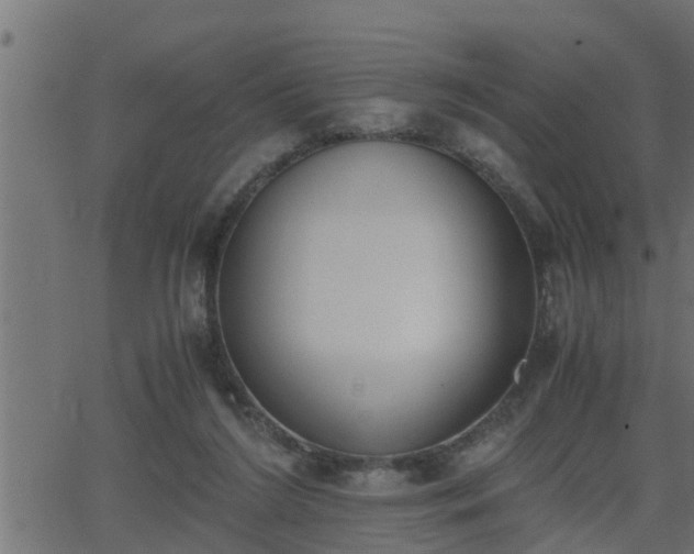 X0000062870212200601171430