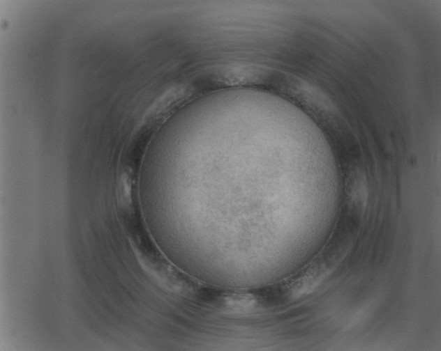 X0000062870214200601171430