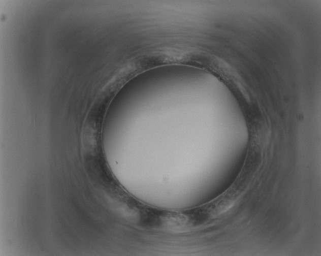 X0000062870215200601171430