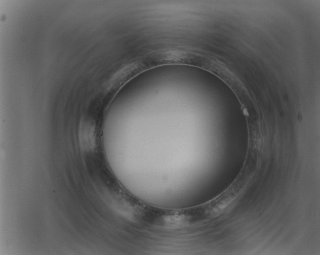 X0000062870216200601171430