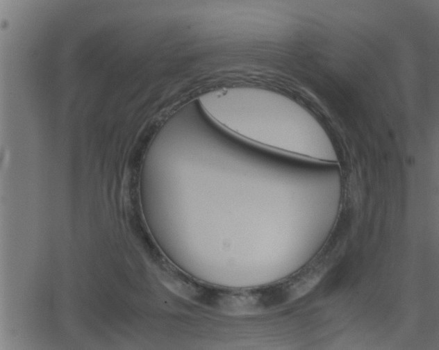 X0000062870217200601171430