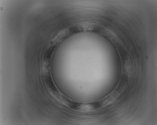 X0000062870218200601171430