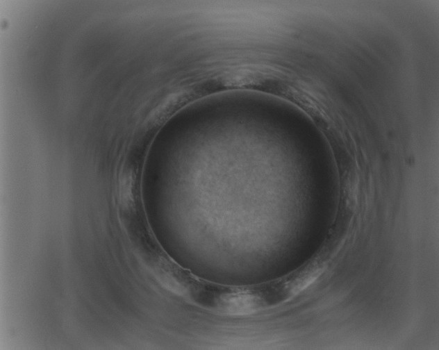 X0000062870219200601171430