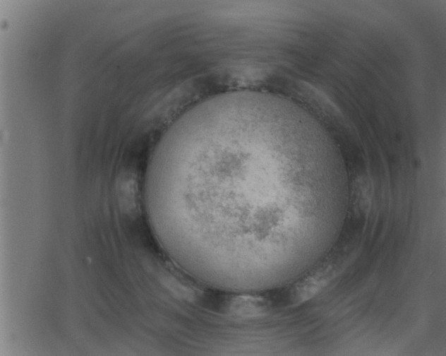 X0000062870222200601171430