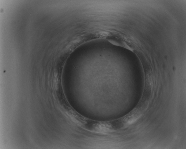 X0000062870223200601171430