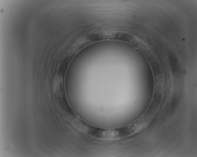 X0000062870225200601171430