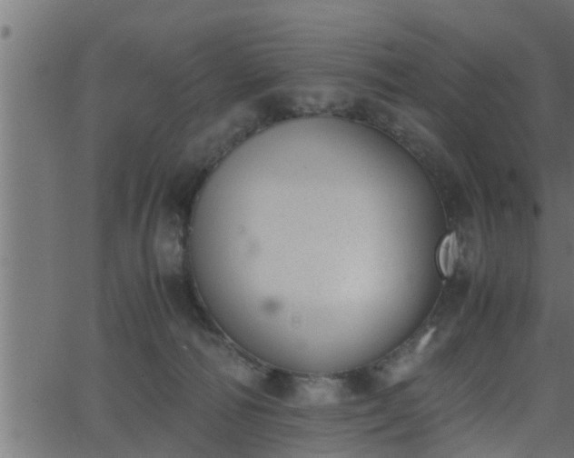 X0000062870226200601171430