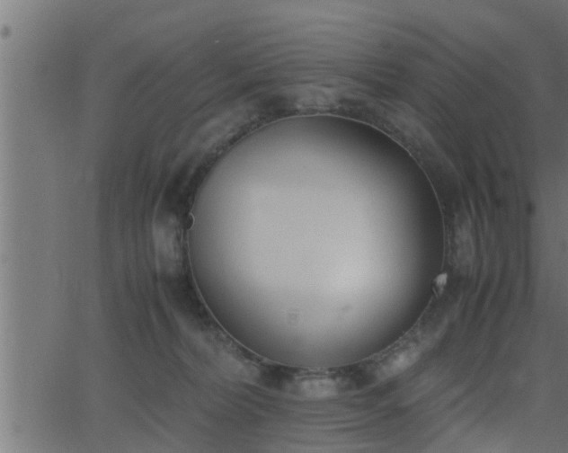 X0000062870228200601171430