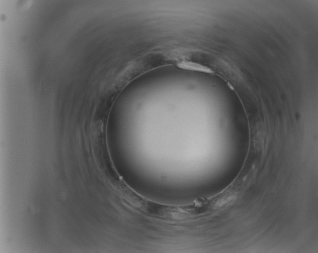 X0000062870229200601171430