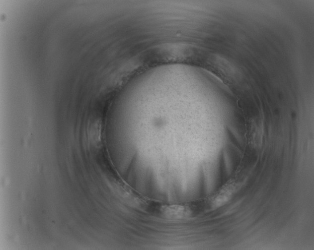 X0000062870230200601171429