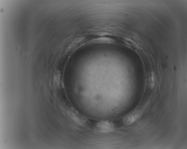 X0000062870231200601171429