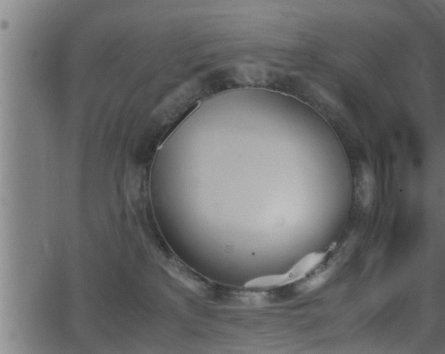 X0000062870233200601171429