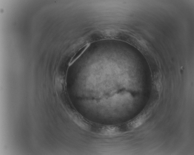 X0000062870235200601171429