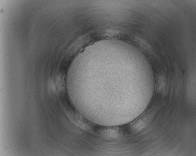 X0000062870236200601171429