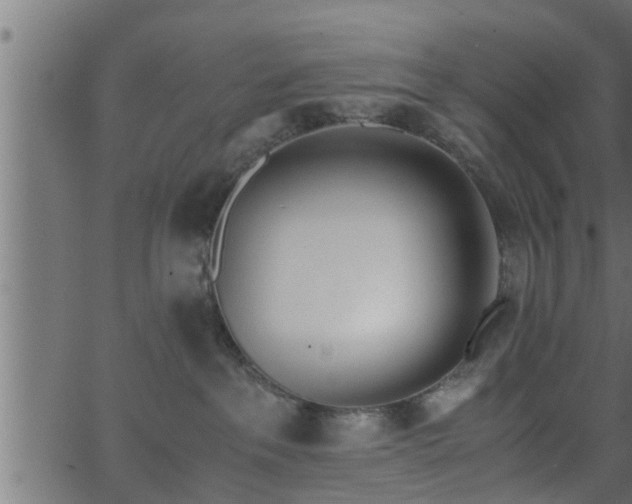 X0000062870237200601171429