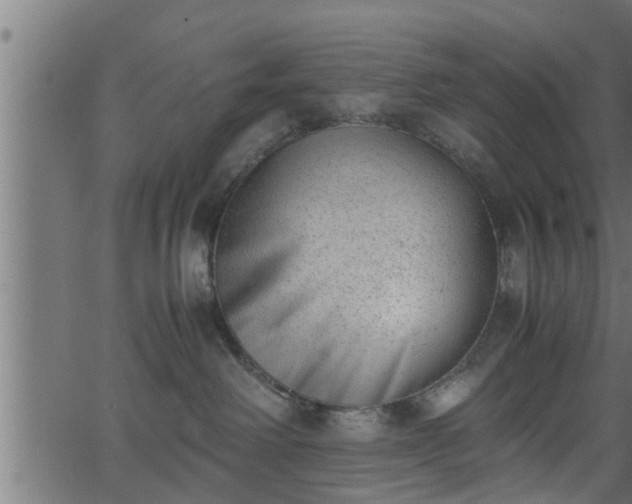 X0000062870238200601171429