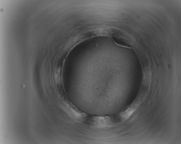 X0000062870239200601171429