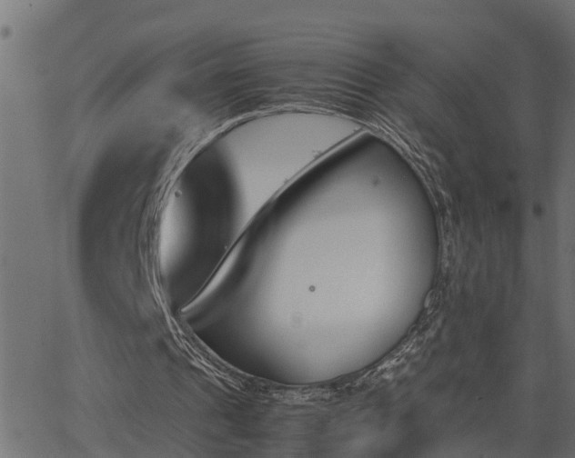 X0000062870241200601171429