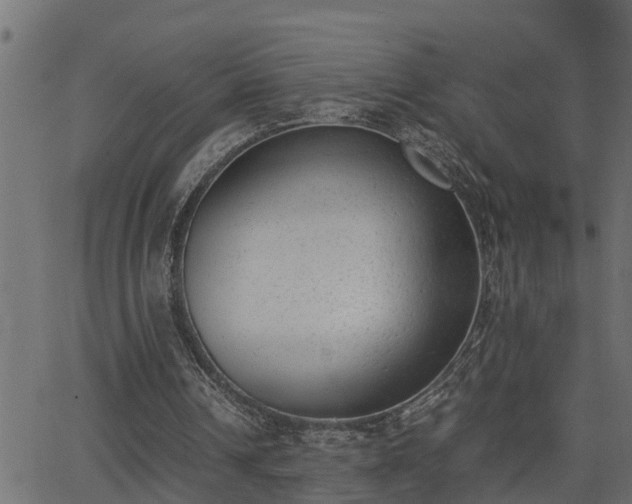 X0000062870242200601171429