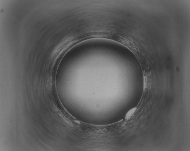 X0000062870243200601171429