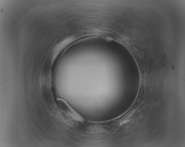 X0000062870244200601171429