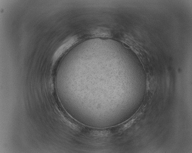 X0000062870245200601171429