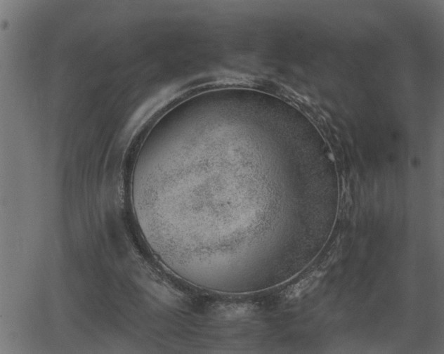 X0000062870247200601171429