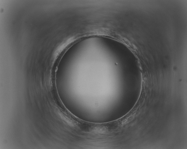 X0000062870248200601171429