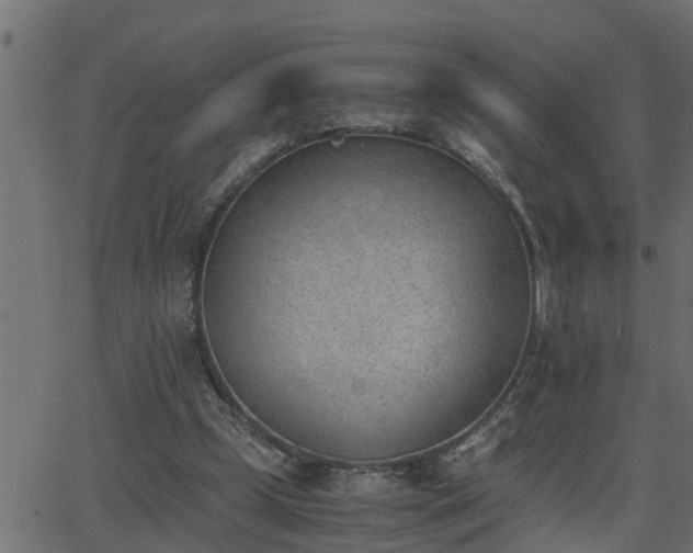 X0000062870249200601171429