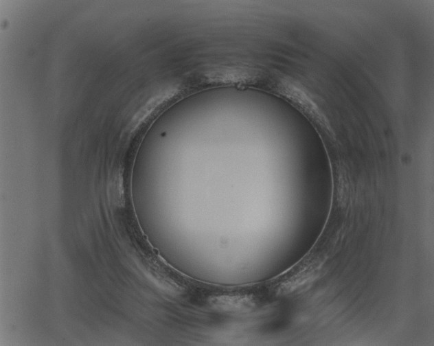 X0000062870251200601171429