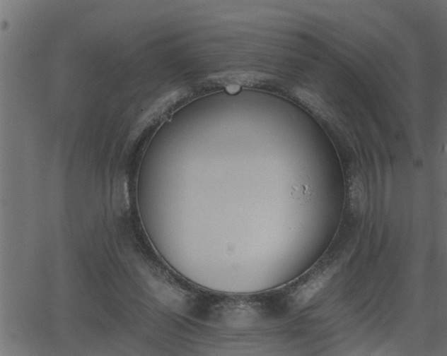 X0000062870254200601171429