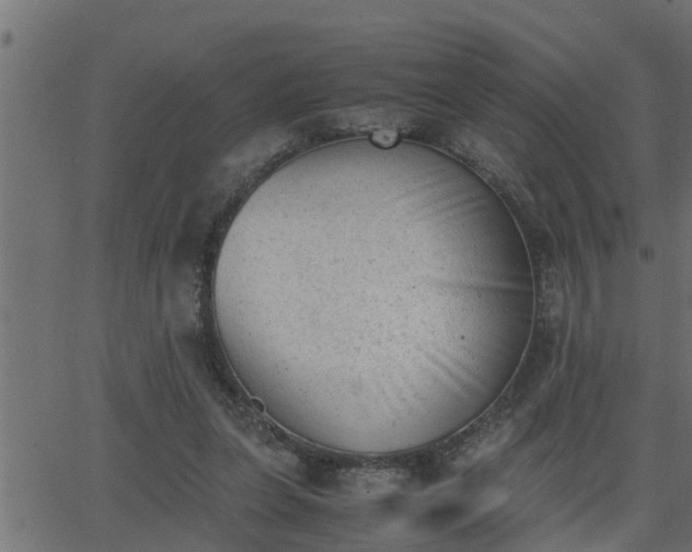 X0000062870255200601171429