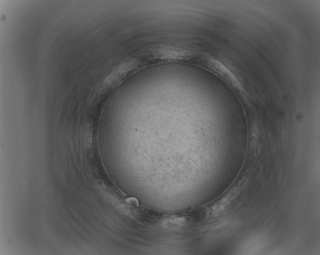 X0000062870257200601171429