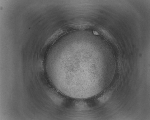 X0000062870258200601171429