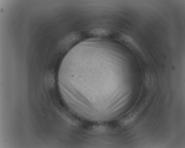 X0000062870259200601171429