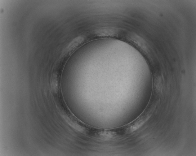 X0000062870261200601171429