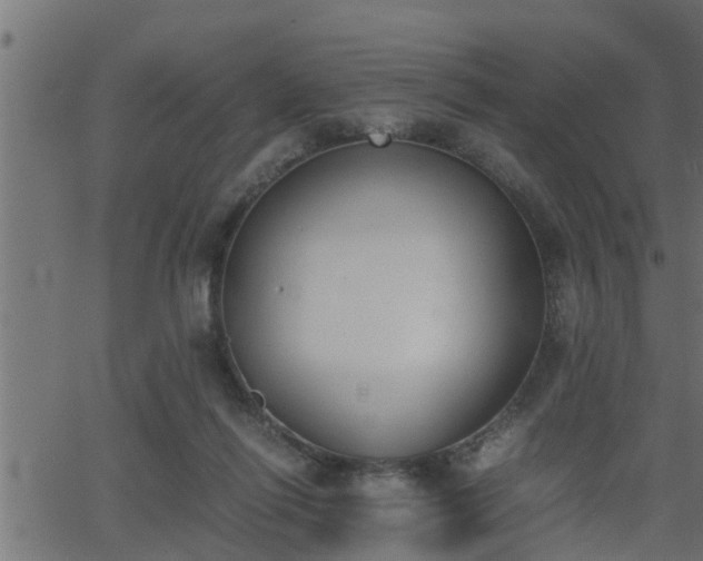 X0000062870262200601171429