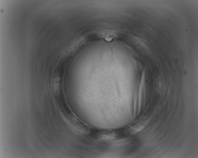 X0000062870263200601171429