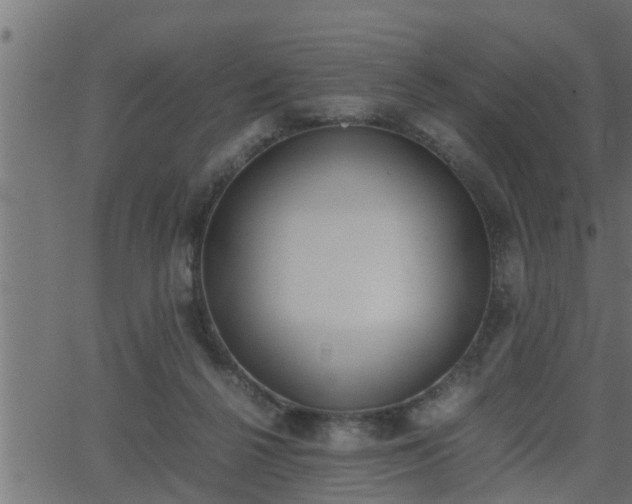 X0000062870264200601171429